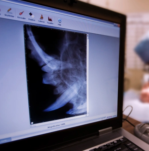 Pet-diesease-management